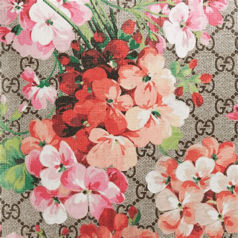 blooms print gucci chemo|buy Gucci blooms online.